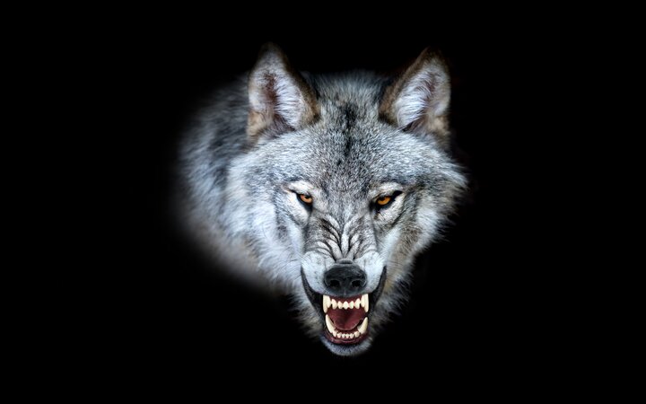 Nueva Lista de Precios de Octubre 2021 para el canal profesional de LEDVANCE