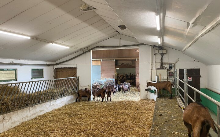 LEDVANCE mejora las condiciones lumínicas de una instalación agrícola en Francia