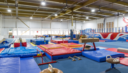 Phoenix Gymnastics Academy