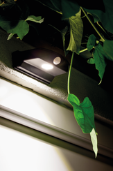 540373_DoorLED_black