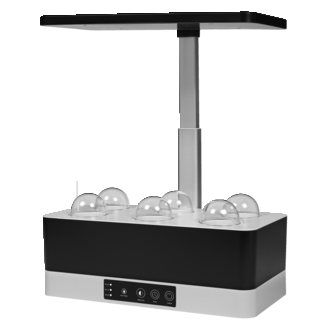 Pflanzenleuchten | LEDVANCE